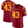 Troy Polamalu USC Trojans Football Cardinal Home Game Stitched Jersey